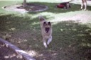 20040822A17