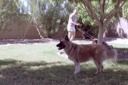 20040822A19