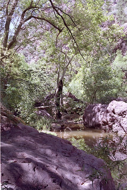 20040829A15